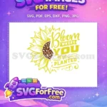Free Yellow Sunflower Free Bloom Where Planted Farm Free SVG - Instant Download