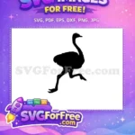 Free Running Ostrich Silhouette Free Farm Quotes Free SVG - Instant Download