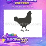 Free Hen Silhouette Free Farm Animal Black Chicken Free SVG - Instant Download