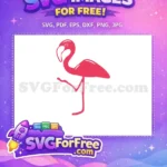 Free Pink Flamingo Free Standing Pose Cartoon Free SVG - Instant Download
