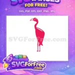 Free Pink Flamingo Silhouette Free Cute Eyes Cartoon Free SVG - Instant Download