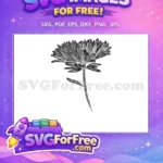 Free Detailed Petals Free Flower Stamp Intricate Free SVG - Instant Download