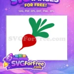 Free Red Turnip Vegetable Free Green Leaves Food Free SVG - Instant Download