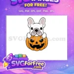 Free Cute Bulldog Free Jack O Lantern Halloween Free SVG - Instant Download