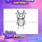 Free Stag Beetle Outline Free Insect Vector Drawing Free SVG - Instant Download