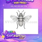 Free Beetle Antenna Free Detailed Wings Insects Free SVG - Instant Download