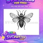 Free Detailed Wings Free Floral Body Insects Free SVG - Instant Download