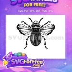 Free Detailed Wings Free Black Beetle Insect Free SVG - Instant Download