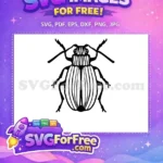 Free Detailed Insect Free Black Silhouette Beetle Free SVG - Instant Download