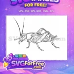 Free Insect Wings Free Antennae Bug Free SVG 1 - Instant Download
