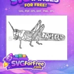 Free Insect Wings Free Antennae Insects Vector Free SVG 2 - Instant Download