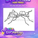 Free Insect Antenna Free Wing Detail Insects Free SVG - Instant Download