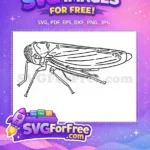 Free Detailed Insect Free Vector Art Insect Free SVG 1 - Instant Download