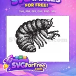 Free Detailed Insect Free Grub Insects Vector Free SVG - Instant Download