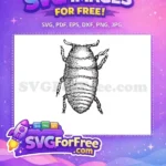 Free Detailed Legs Free Striped Body Insects Free SVG 2 - Instant Download