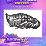 Free Detailed Legs Free Striped Body Insect Free SVG - Instant Download