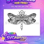 Free Moon Stars Detail Free Leaves Waves Insect Free SVG - Instant Download