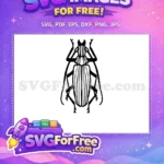 Free Black Beetle Bug Free Insects Vector Free SVG - Instant Download