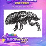 Free Detailed Insect Free Vector Cicada Graphic Free SVG - Instant Download