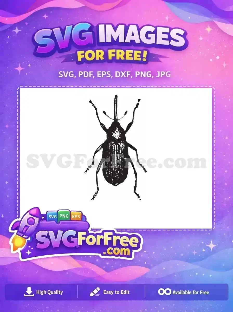 Free Detailed Weevil Free Insect Black Silhouette Free SVG