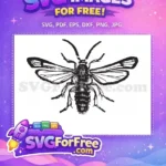 Free Detailed Wings Free Dark Body Insects Free SVG - Instant Download