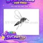 Free Detailed Wings Free Stinger Insect Insects Free SVG - Instant Download