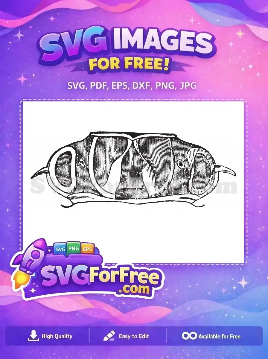 Free Black Beetle Head Free Engraved Style Insect Free SVG