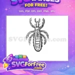 Free Detailed Insects Free Vector Art Insects Free SVG - Instant Download