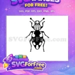 Free Insect Wings Free Bug Vector Insects Free SVG - Instant Download