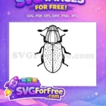 Free Black Dotted Beetle Free Insect Vector Free SVG - Instant Download