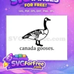 Free Letterkenny Silhouette Free Minimalist Letterkenny Free SVG 12 - Instant Download