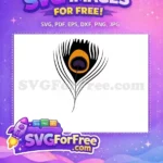 Free Orange Detail Free Purple Detail Peacock Free SVG - Instant Download