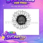 Free Line Art Free Sunflower Free SVG 1 - Instant Download