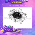 Free Detailed Petals Free Black White Sunflower Line Art Free SVG - Instant Download