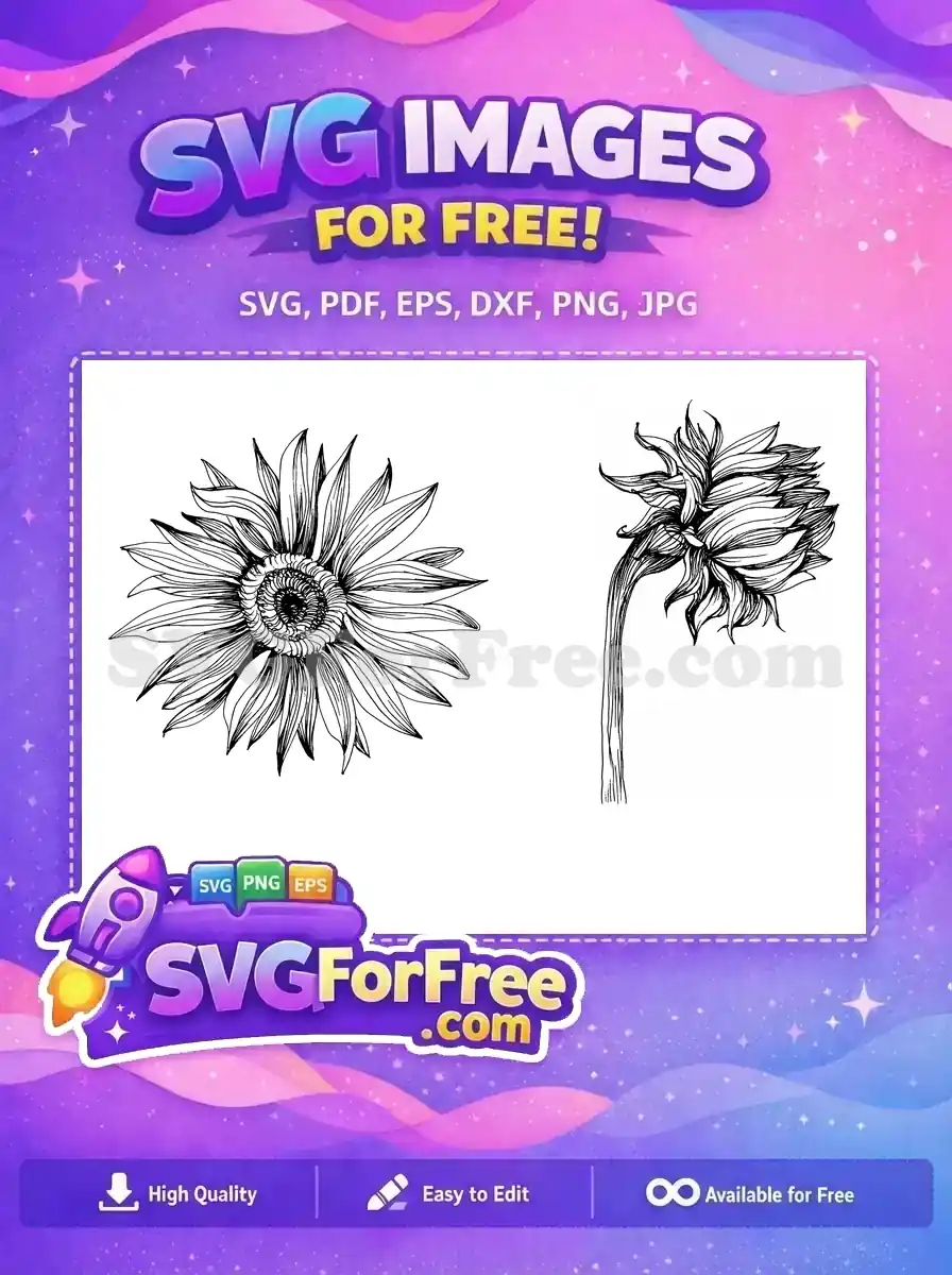 Free Detailed Line Art Free Black and White Sunflower Free SVG
