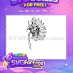 Free Line Art Free Sunflower Free SVG 2 - Instant Download