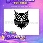Free Sharp Feather Free Intense Gaze Owl Free SVG - Instant Download