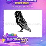 Free Detailed Barn Owl Free Silhouette Wildlife Free SVG 2 - Instant Download