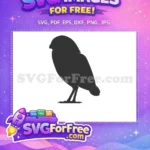 Free Barn Owl Silhouette Free Bird Watching Wildlife Free SVG - Instant Download