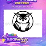 Free Sharp Eyes Free Feathered Chest Owl Free SVG - Instant Download