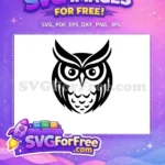 Free Black Owl Silhouette Free Sharp Eyes Design Free SVG - Instant Download
