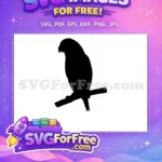 Free Tropical Parrot Free Bird Silhouette Art Free SVG 1 - Instant Download