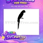 Free Detailed Parrot Free Silhouette Cute Animal Free SVG - Instant Download