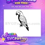 Free Tropical Parrot Free Silhouette Exotic Bird Free SVG 1 - Instant Download