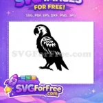 Free Detailed Parrot Free Silhouette Parrot Design Free SVG 2 - Instant Download