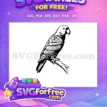 Free Detailed Parrot Free Silhouette Tropical Bird Free SVG 2 - Instant Download