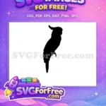 Free Detailed Parrot Free Tropical Bird Parrot Free SVG 2 - Instant Download