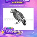 Free Detailed Plumage Free Perched Branch Parrot Free SVG - Instant Download