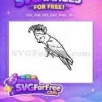 Free Iago Parrot Silhouette Free Detailed Feathers Aladdin Movie Free SVG - Instant Download
