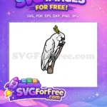 Free Yellow Crest Free Parrot Silhouette Cartoon Free SVG - Instant Download